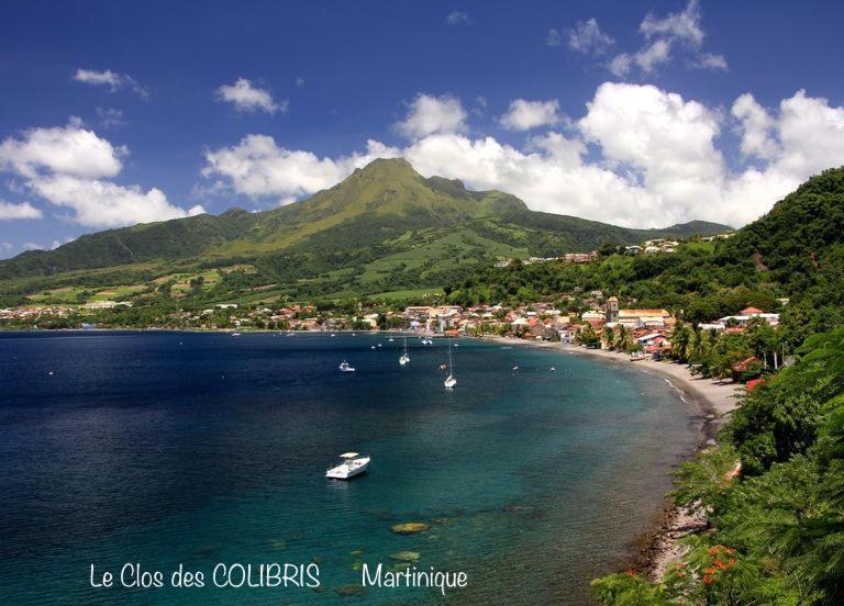 Lodge Colibris Piscine Privee Vue Panoramique Mer Et Montagne Pelee , 500 M Plage Dans Un Parc , Calme Assure Ideal Pour Decouvrir Le Nord Caraibes Le Carbet Exteriör bild