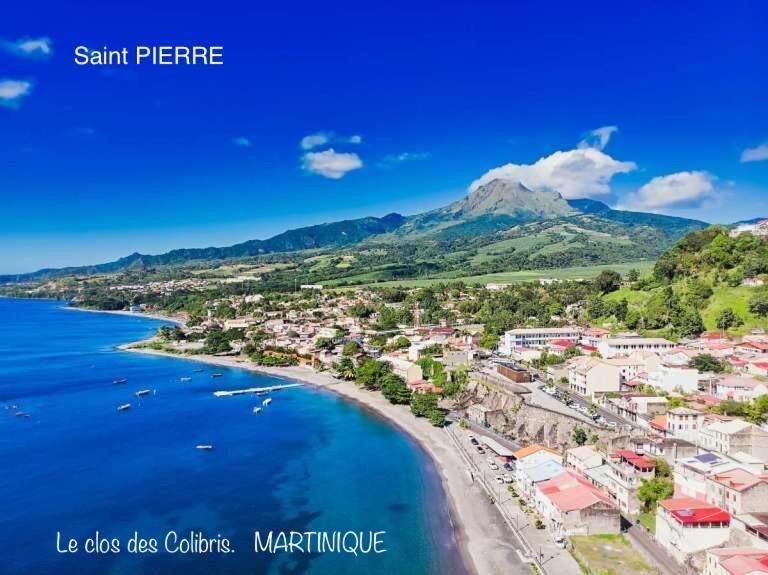 Lodge Colibris Piscine Privee Vue Panoramique Mer Et Montagne Pelee , 500 M Plage Dans Un Parc , Calme Assure Ideal Pour Decouvrir Le Nord Caraibes Le Carbet Exteriör bild